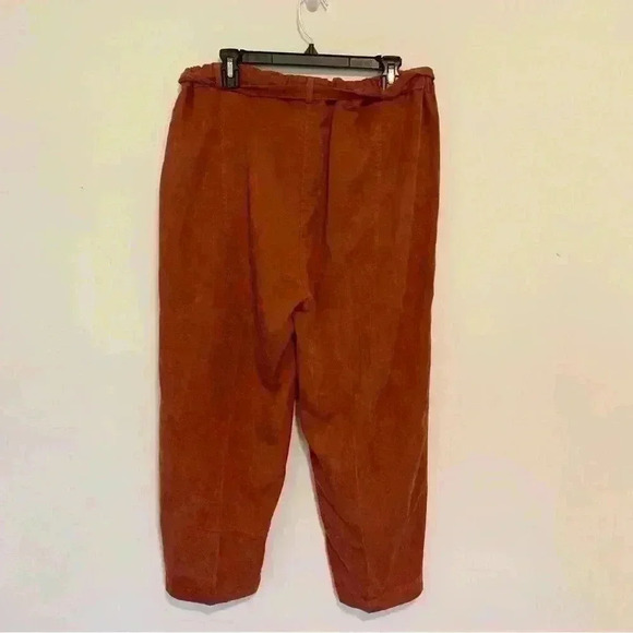 Eileen Fisher Cropped Burnt Orange Earthy Pull On Tie Waist Pants Size Medium - Picture 7 of 12